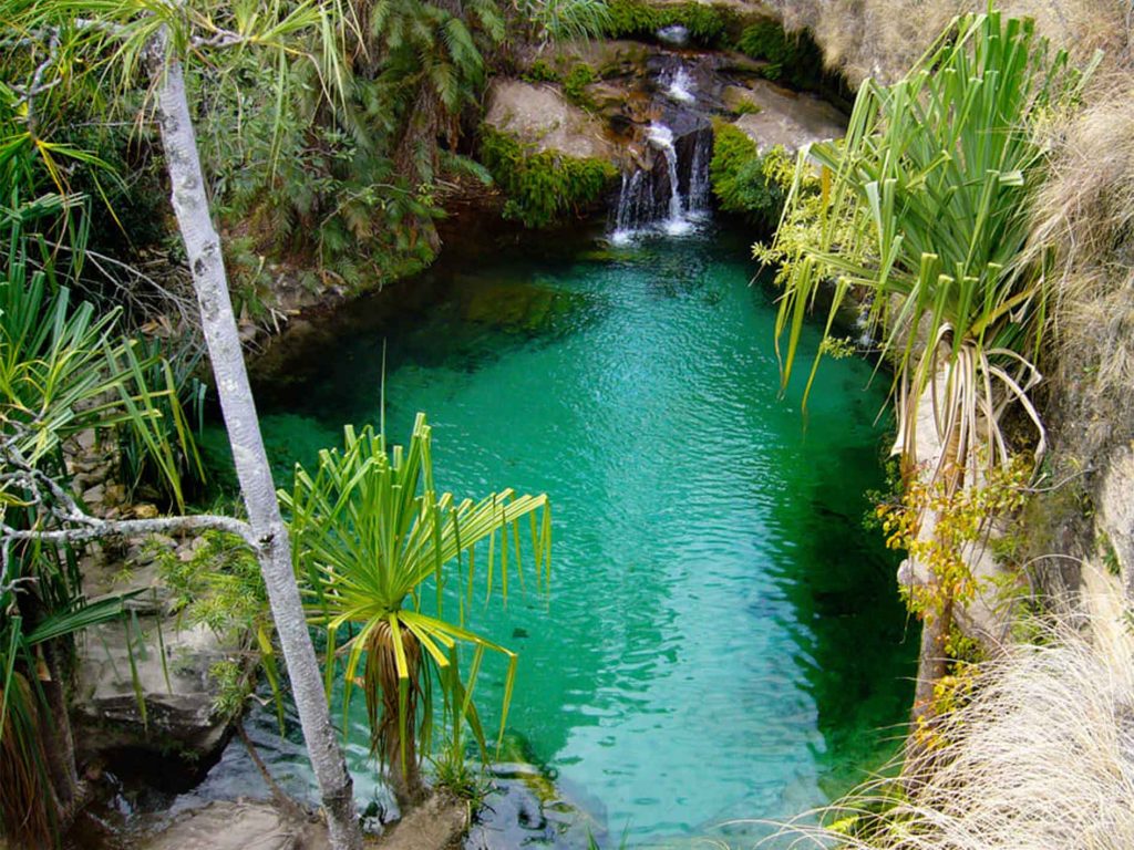 Madagascar’s National Parks: A Guide to the Best Wildlife Reserves