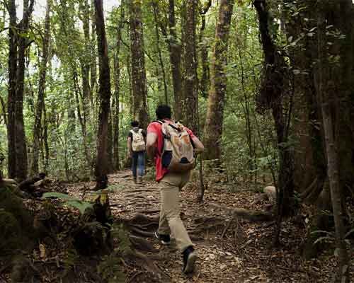 Madagascar National parks